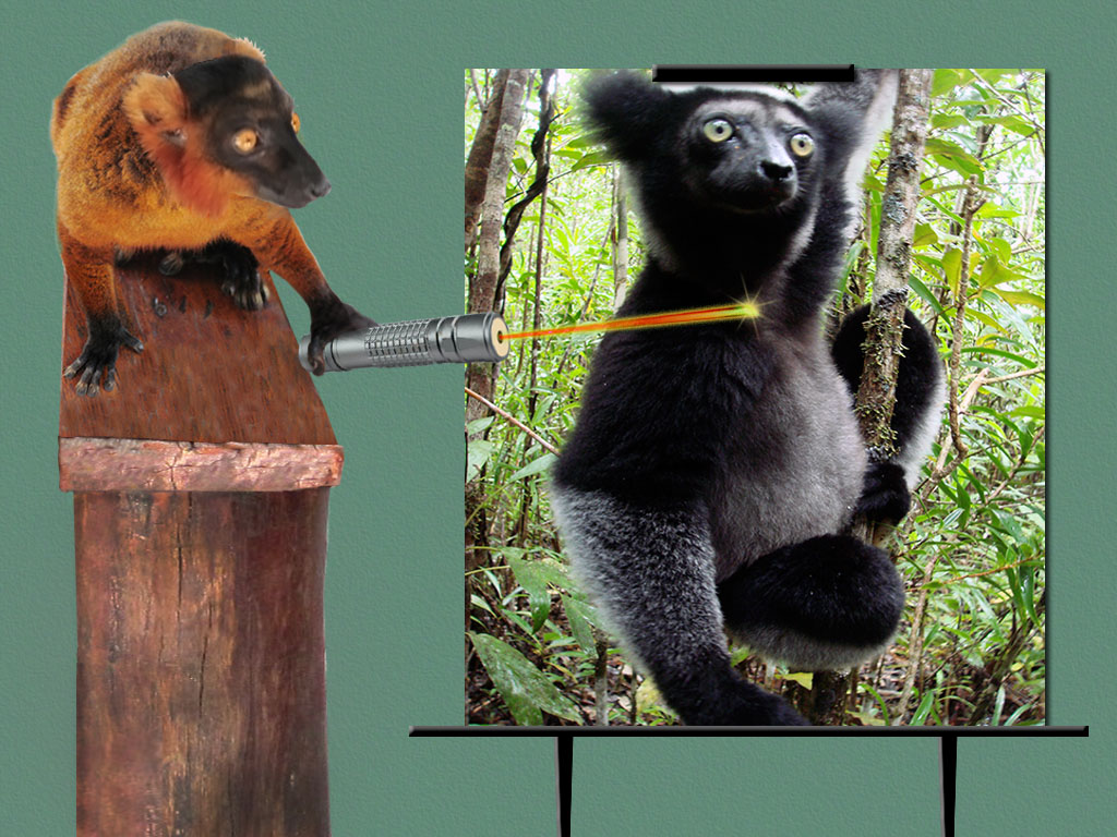 slideshow